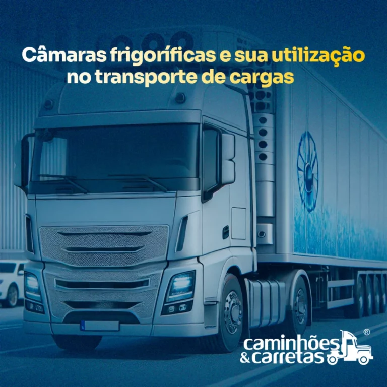 Sem-Titulo-2-1-1024x1024