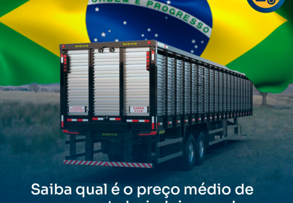 carreta boiadeira