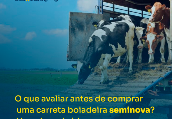 O que avaliar antes de comprar uma carreta boiadeira seminova