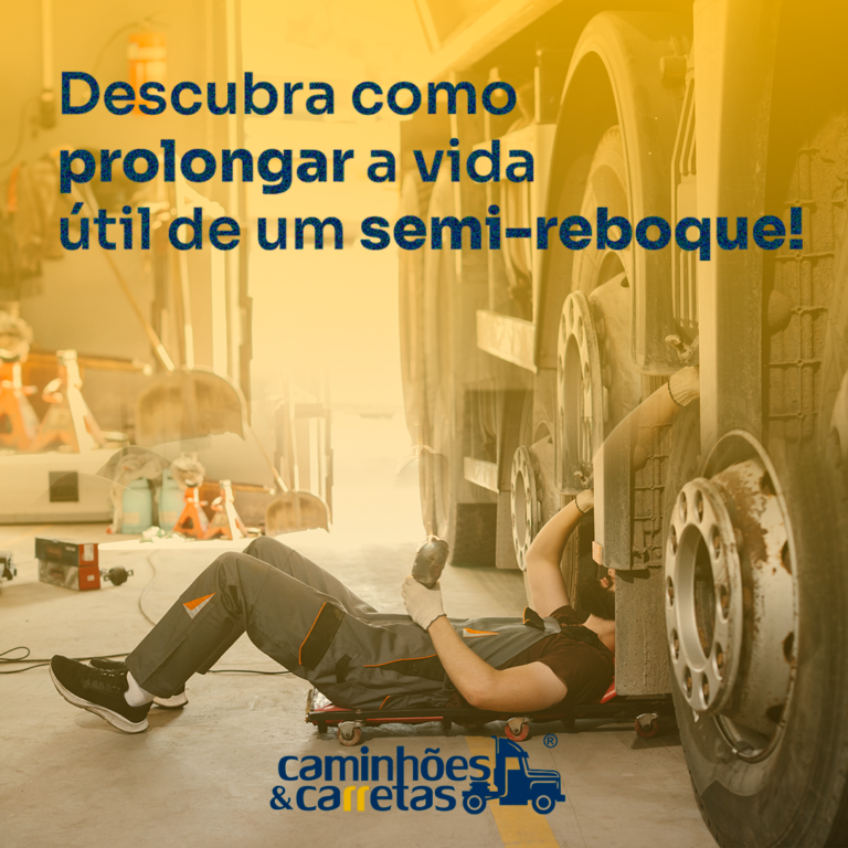 carreta boiadeira usada